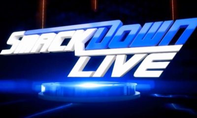 WWE Smackdown Live Logo 2