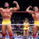WWF WWE SummerSlam 1988 Hogan Savage Elizabeth