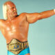 Hulk Hogan WWF WWE Championship