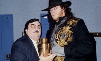 WWE WWF Championship The Undertaker