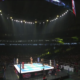 Wrestle Kingdom 14 Tokyo Dome WWE WrestleMania