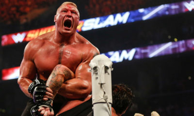 Brock Lesnar WWE UFC