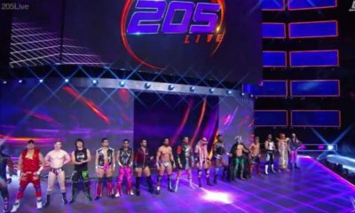 WWE 205 Live Competitors