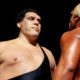WrestleMania 3 Andre The Giant Hulk Hogan