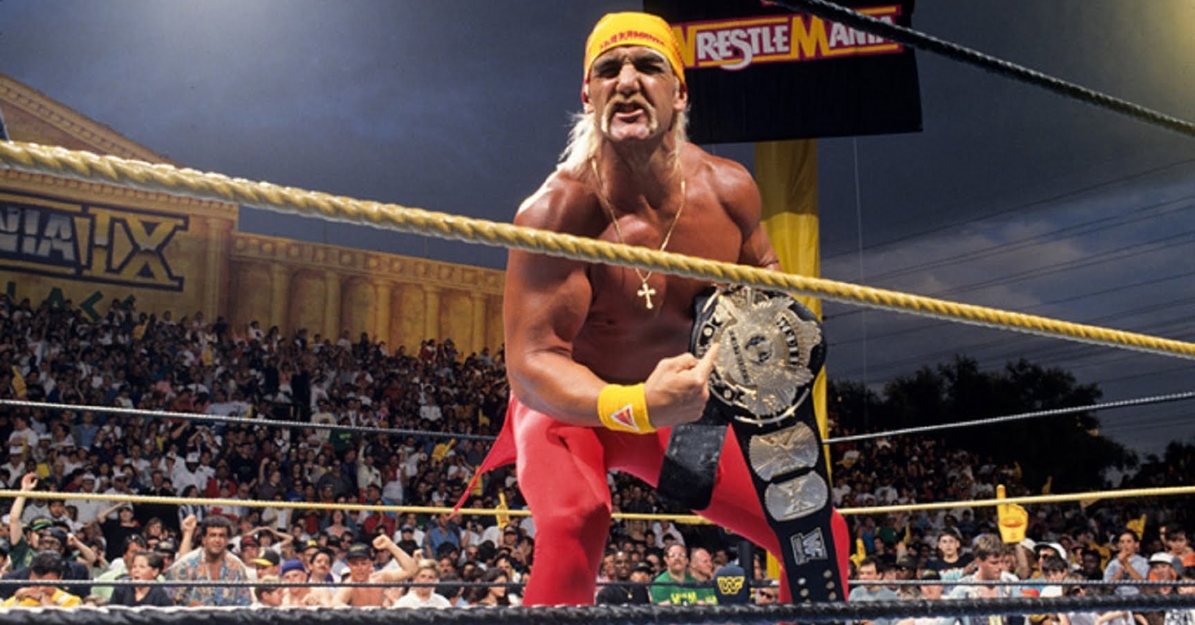 Hulk Hogan WrestleMania Undertaker