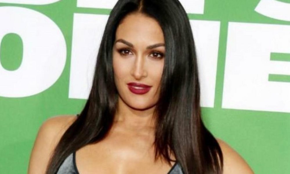 Nicki Bella Xxx Videos - Nikki Bella Is The Right Opponent For Ronda Rousey | The Chairshot
