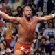 Macho Man Randy Savage WWE Wins and Losses