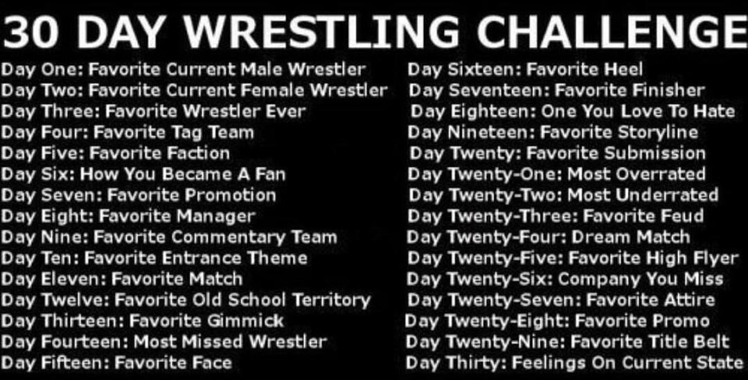 30 Day Wrestling Challenge