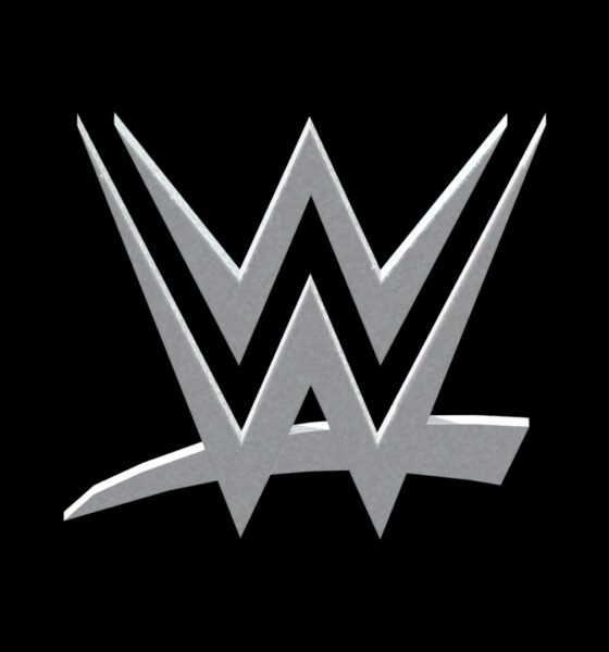 WWE Logo Metalic