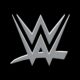 WWE Logo Metalic