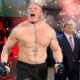 Brock Lesnar WWE Hell In A Cell