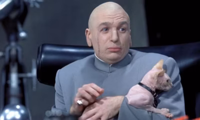 Dr Evil Cat