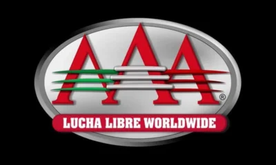Wrestling AAA Logo