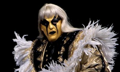 Goldust WWE WWF Dustin Rhodes