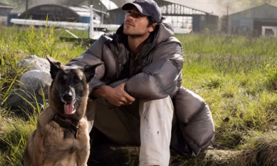 The Dog Stars