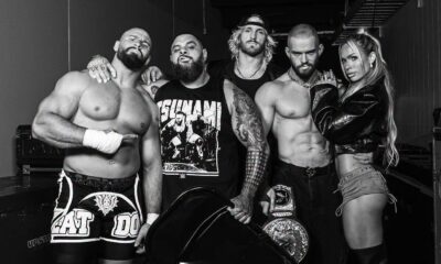 The Vision WWE